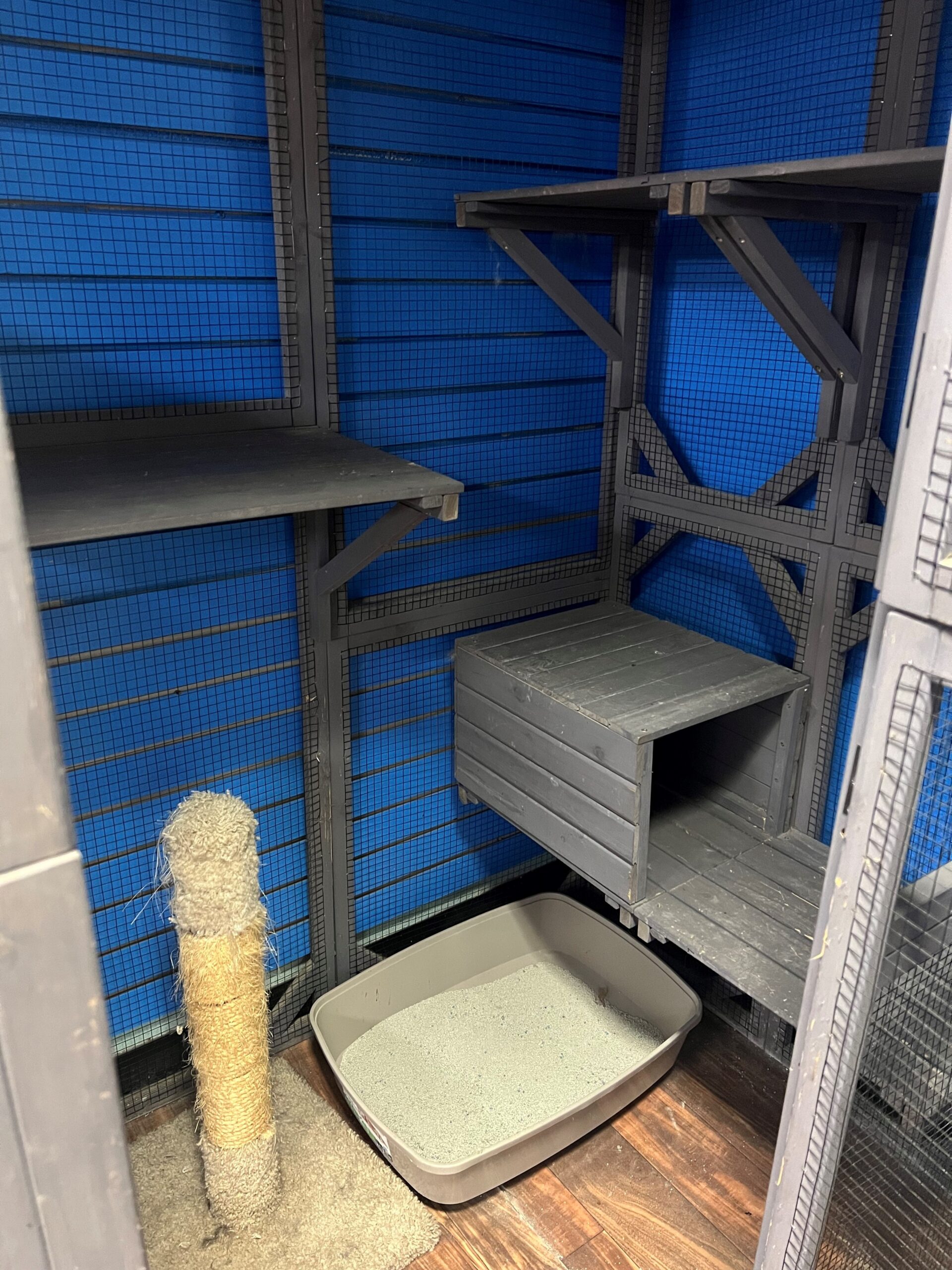 CAT CONDO NAPS – Buster’s Pet Resort & Daycare